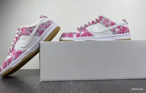Nike Dunk Red Gum CT5053-061 Rose Low SB White 0528